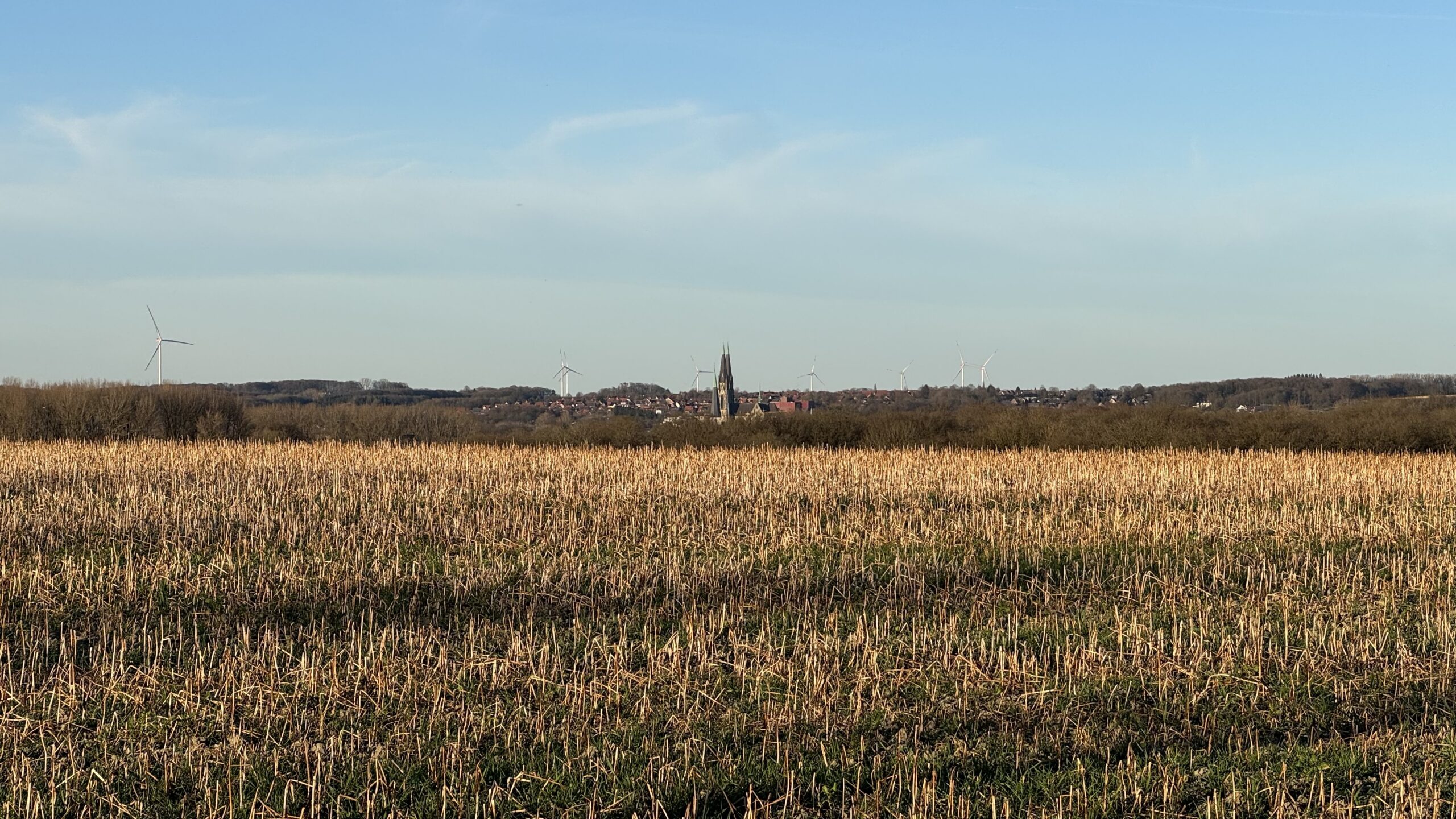 Im Vorderen Bereich sieht man ein Stoppelfeld. Weiter hinten ist in der Ferne der Billerbecker Dom und Winkraftanlagen zu sehen.